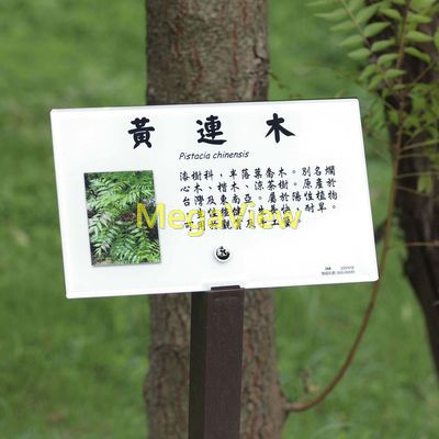 A型植物解說牌